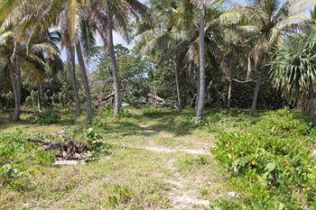 Alofa Beach Bungalows Ленакел Екстер'єр фото